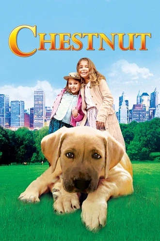 Download Chestnut: Hero of Central Park | 2004 | Hindi-English | 480p 720p 1080p